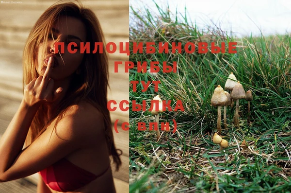 гидропоника Богородск