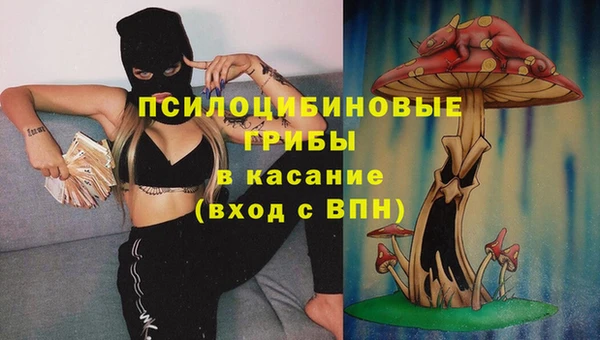 бутират Богородицк
