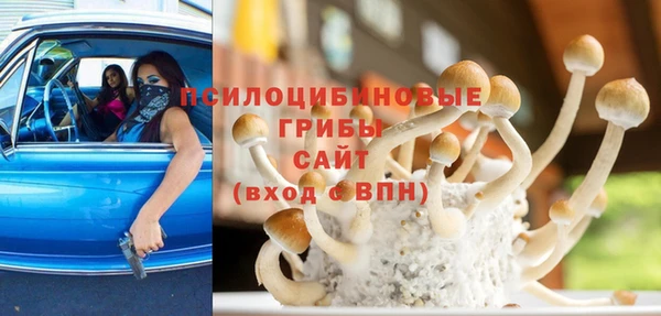 бутират Богородицк