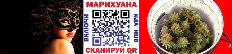 Шишки марихуана план Городец